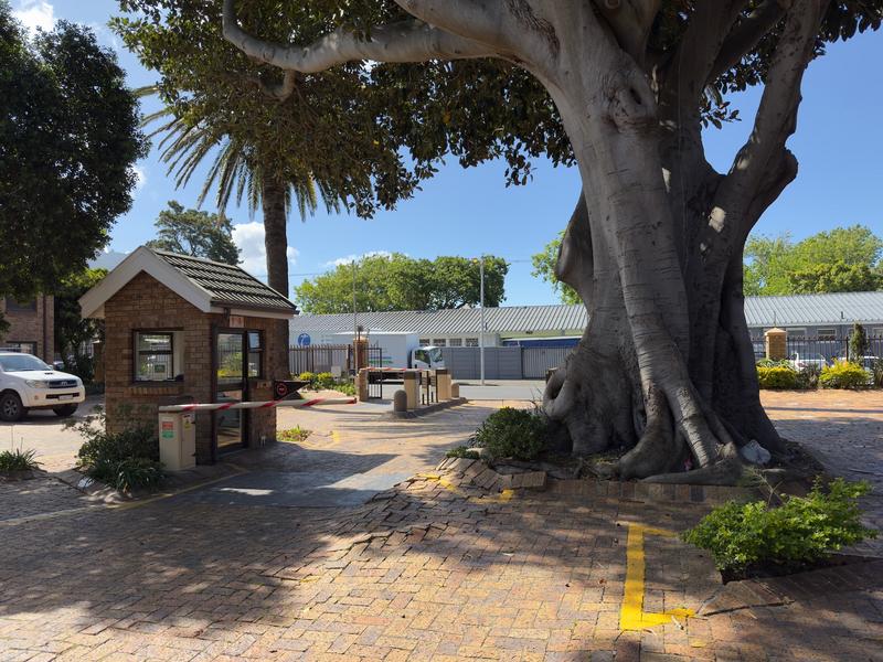 To Let Commercial Property for Rent in Claremont Western Cape